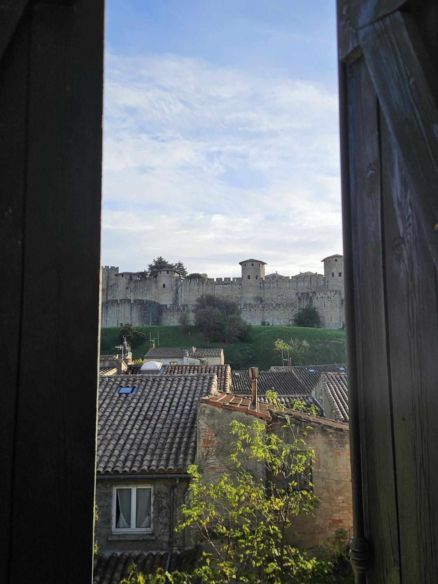 Vue Cite Medievale Castel View Carcassonne Eksteriør bilde